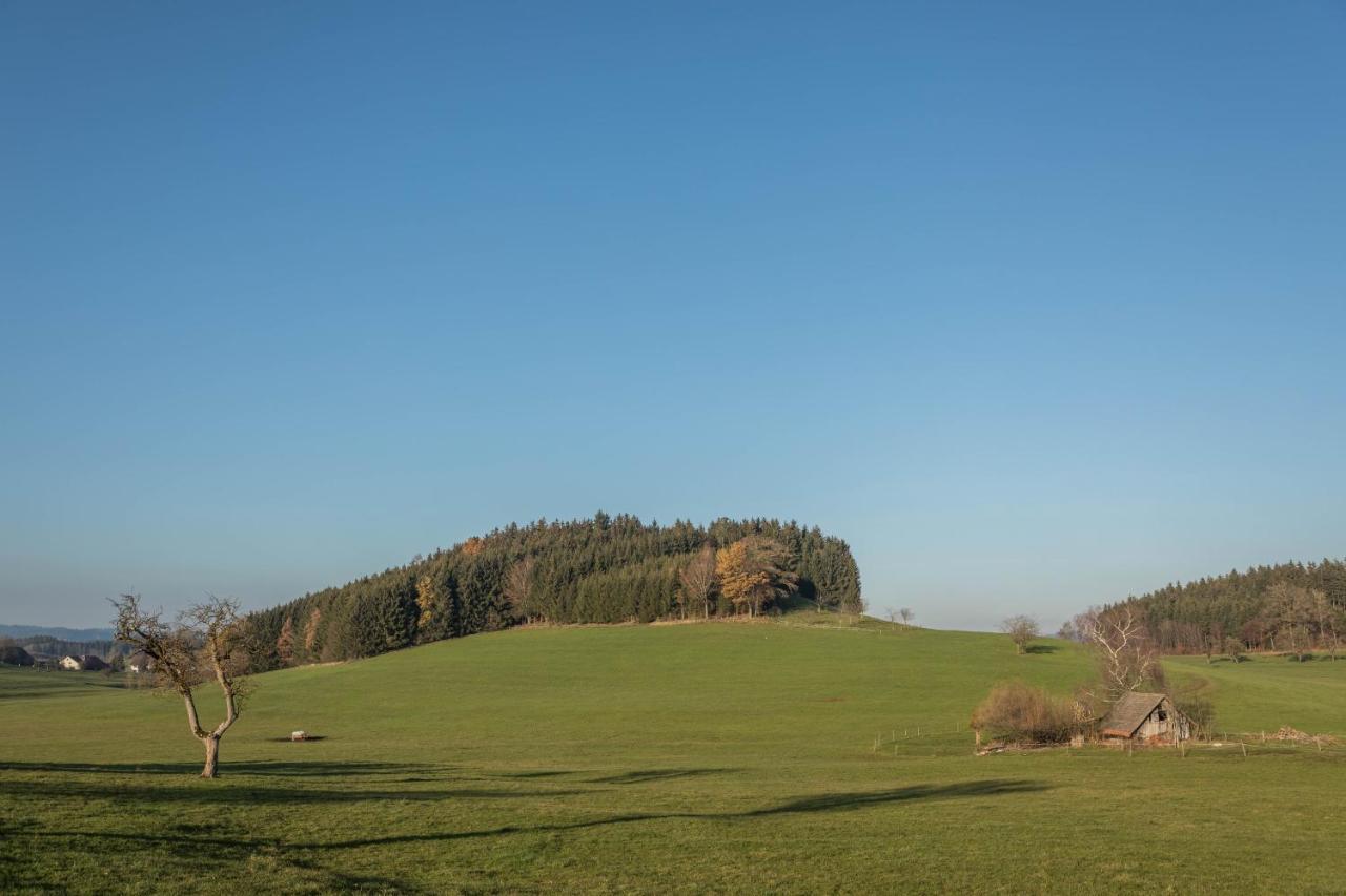 Ferienhof Sauter Friedrichshafen Neukirch  Bagian luar foto